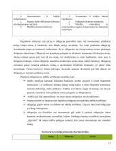 Obligacijos referatas 13 puslapis