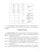 Obligacijos referatas 9 puslapis