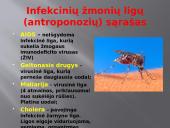 Užkečiamos ir neužkrečiamos ligos 6 puslapis
