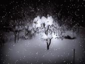 Žiemos vaizdai 12 puslapis