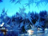 Žiemos vaizdai 19 puslapis