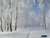 Žiemos vaizdai 3 puslapis