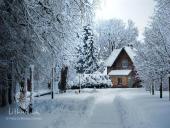 Žiemos vaizdai 9 puslapis