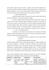 Dekupažo naudojimosi būdai 3 puslapis