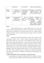 Dekupažo naudojimosi būdai 4 puslapis