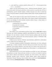 Teoriniai mokslinių tyrimų metodai 2 puslapis