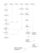 Kijevo kotleto technologinė schema 3 puslapis