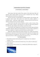 Atmosferos kilmė ir sandara 5 puslapis