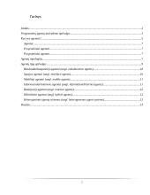 Agentai. Programinė įranga 2 puslapis