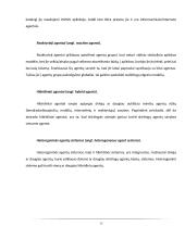 Agentai. Programinė įranga 13 puslapis