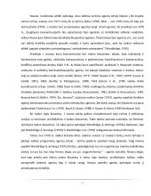 Agentai. Programinė įranga 5 puslapis