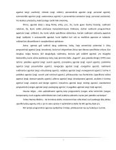 Agentai. Programinė įranga 7 puslapis