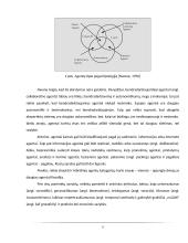 Agentai. Programinė įranga 9 puslapis