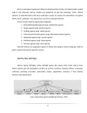 Agentai. Programinė įranga 10 puslapis