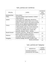 EK saitų analizė ir įvertinimas 8 puslapis