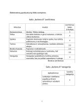 EK saitų analizė ir įvertinimas 9 puslapis