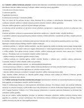 Parlamento teisės konspektas 7 puslapis