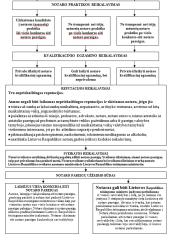 Notariato teisės konspektas (sąvoka, bruožai, raida, sistemų rūšys, sąlygos kandidatams ir t.t.) 15 puslapis