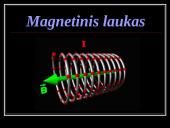 Magnetinis laukas skaidrės