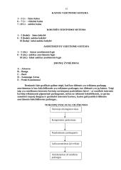 Interneto kavinių Vilniuje marketinginis tyrimas 12 puslapis