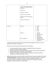 Interneto kavinių Vilniuje marketinginis tyrimas 15 puslapis