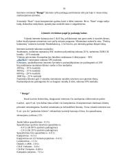 Interneto kavinių Vilniuje marketinginis tyrimas 16 puslapis