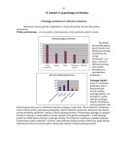 Interneto kavinių Vilniuje marketinginis tyrimas 10 puslapis