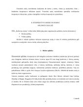 Kooperatyvų steigimas ir valdymas 4 puslapis