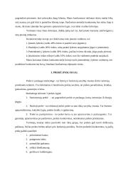 UAB "Klubas" verslo planas 16 puslapis