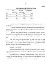 UAB "Klubas" verslo planas 8 puslapis