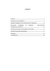 Skurdas – negatyvioji globalizacijos pusė 2 puslapis