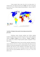 Skurdas – negatyvioji globalizacijos pusė 11 puslapis