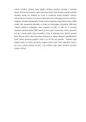 Skurdas – negatyvioji globalizacijos pusė 17 puslapis