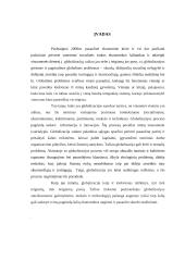 Skurdas – negatyvioji globalizacijos pusė 3 puslapis