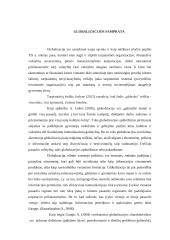 Skurdas – negatyvioji globalizacijos pusė 4 puslapis