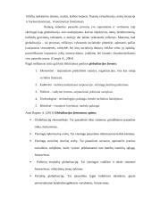 Skurdas – negatyvioji globalizacijos pusė 5 puslapis