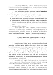 Skurdas – negatyvioji globalizacijos pusė 6 puslapis