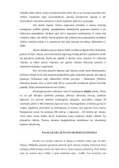 Skurdas – negatyvioji globalizacijos pusė 9 puslapis