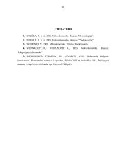 Ekonomikos teorija referatas 10 puslapis