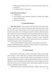 Verslo organizavimo formos Lietuvoje (įmonių rūšių pranašumai ir trūkumai) 11 puslapis
