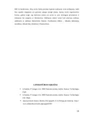 Verslo organizavimo formos Lietuvoje (įmonių rūšių pranašumai ir trūkumai) 16 puslapis