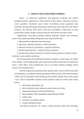 Verslo organizavimo formos Lietuvoje (įmonių rūšių pranašumai ir trūkumai) 4 puslapis
