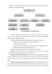 Verslo organizavimo formos Lietuvoje (įmonių rūšių pranašumai ir trūkumai) 5 puslapis