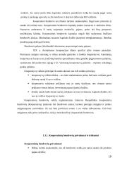 Verslo organizavimo formos Lietuvoje (įmonių rūšių pranašumai ir trūkumai) 10 puslapis