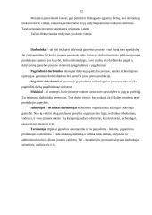 Ekonomikos referatas. Darbas, darbo jėga 12 puslapis