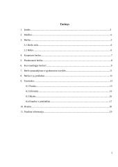 Referatas apie beržą 2 puslapis