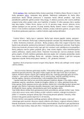 Referatas apie beržą 11 puslapis
