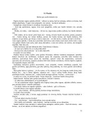 Referatas apie beržą 13 puslapis