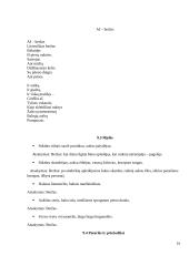 Referatas apie beržą 16 puslapis