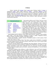 Referatas apie beržą 5 puslapis